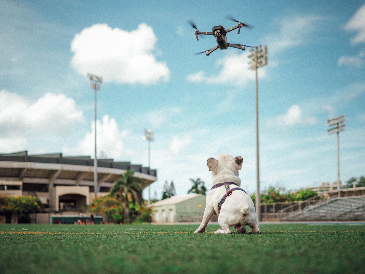 Ultimate Drone Regulations You Should Know Before Buying Online