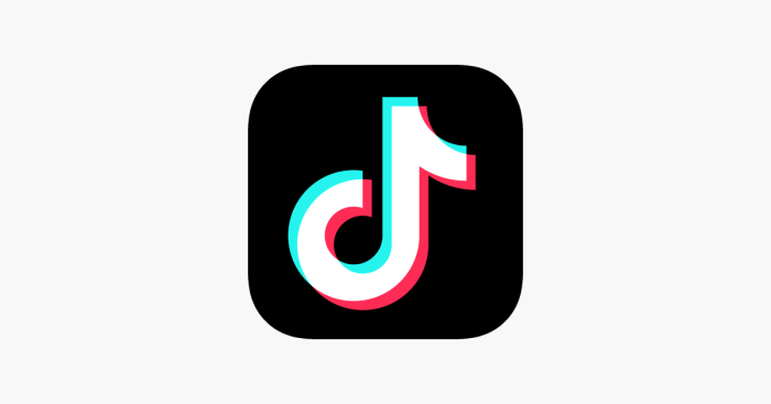 The Future Of TikTok In The US : 1A : NPR TikTok Trends That Help Fashion Products Go Viral