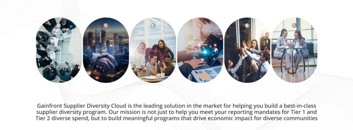 Supplier Diversity Management Solutions | Build Resilient Supply Chains Leveraging Supplier Diversity for Competitive Advantage