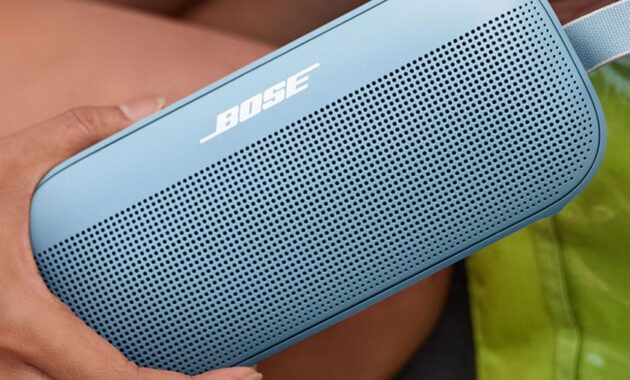 Choosing the Best Brand for Bluetooth Speakers Online