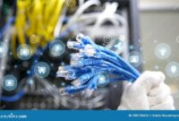 How to Choose the Right LAN Cable for Online Learning