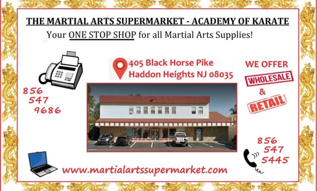 Online Stores With Authentic Martial Arts Gear Galore