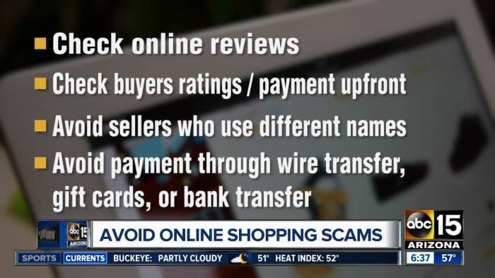 How to Avoid Online Shopping Scams Safeguard Your Wallet