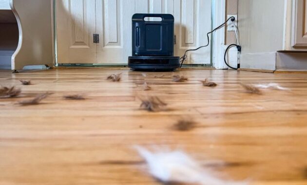 Best Robot Vacuums for Pet Hair and Dust Unleash Cleaning Power