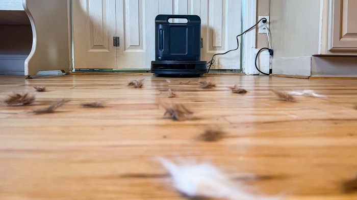 Best Robot Vacuums for Pet Hair and Dust Unleash Cleaning Power